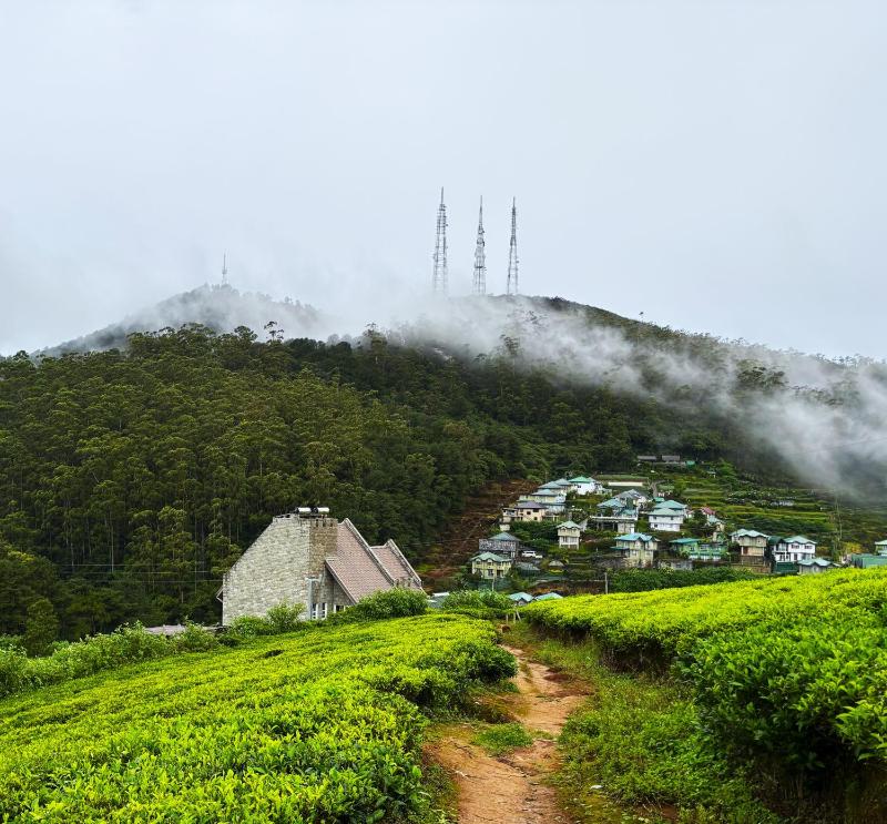 Wintry Hills-Nuwara Eliya - image 33