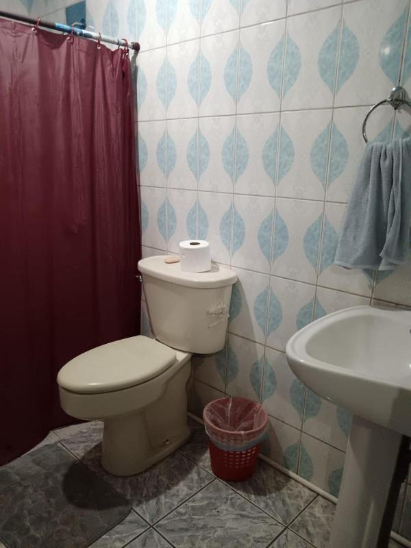Lirio green hostal - image 9