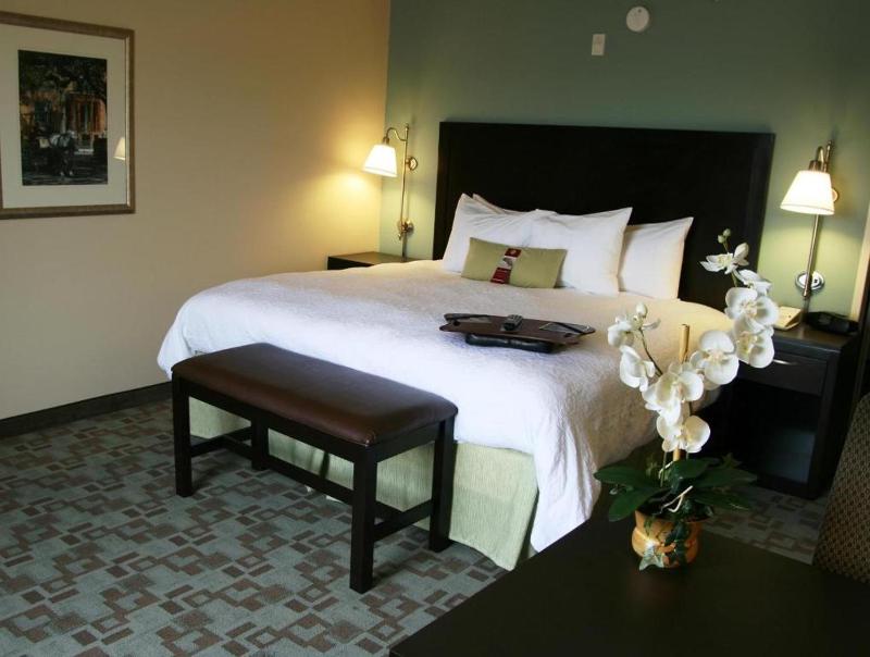 Hampton Inn & Suites Savannah-Airport - image 46