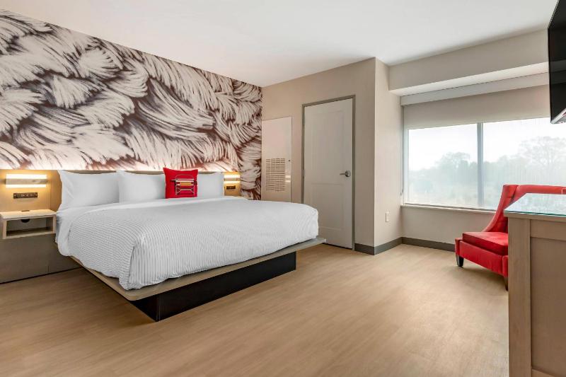 King Suite with Sofa Bed - Non-Smoking image 1
