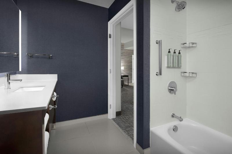 One-Bedroom King Suite image 2