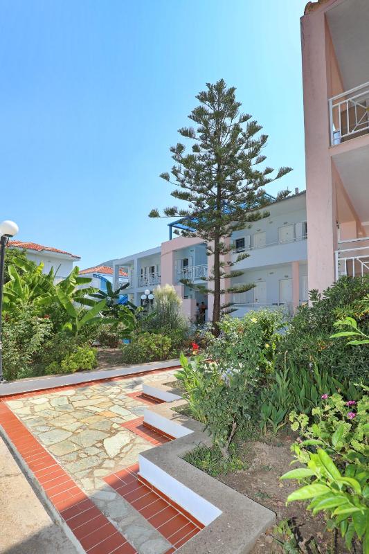 Dolphin Hotel - image 29