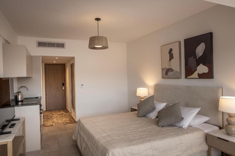 Deluxe Double Room image 3