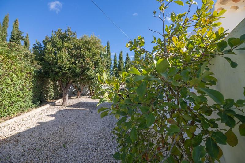 Casa dos Sonhos Praia da Luz - image 42