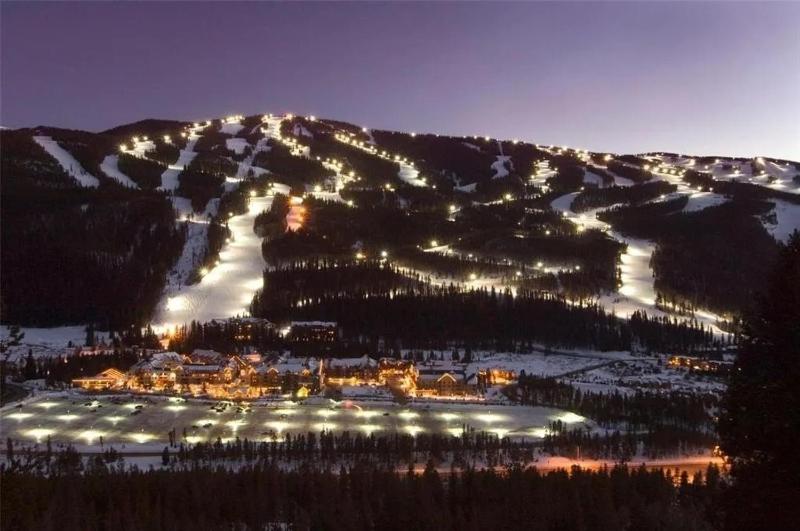 Ski Tip #8716 - image 17