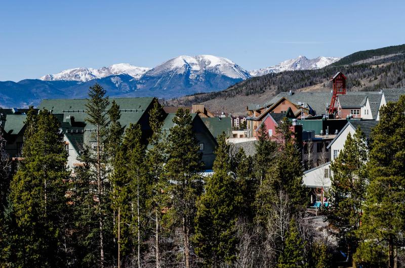 Ski Tip #8716 - image 16