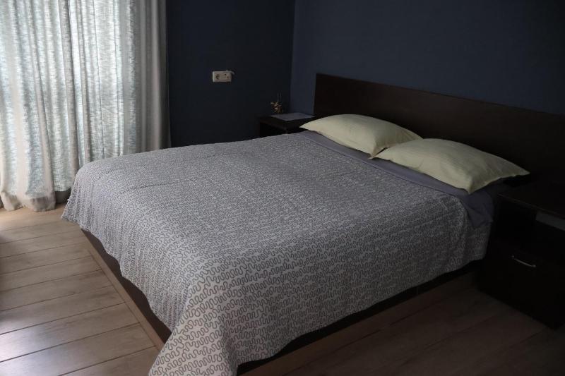 Deluxe Double or Twin Room image 1