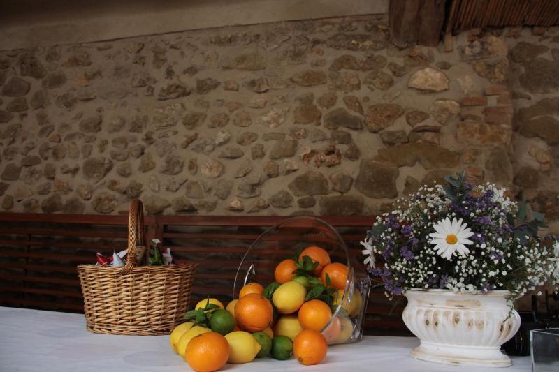 Turisme Rural Mas Ramades - image 11