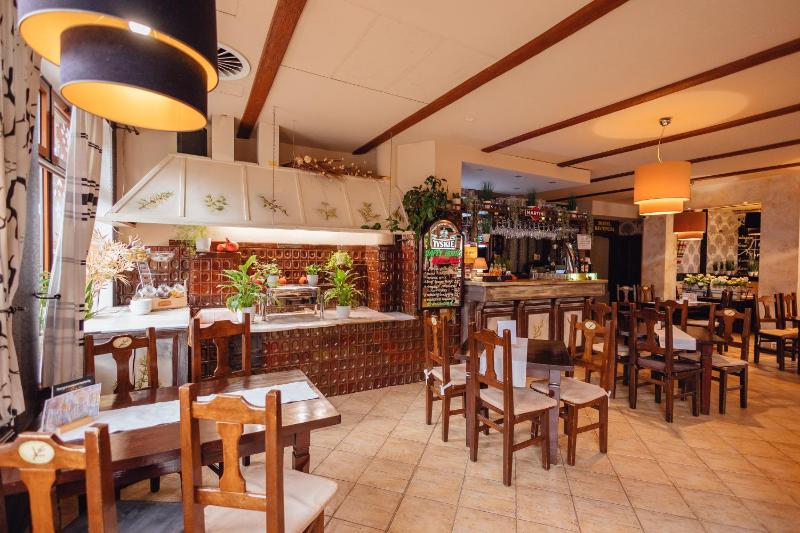 Hotel Na Rogatce - image 12