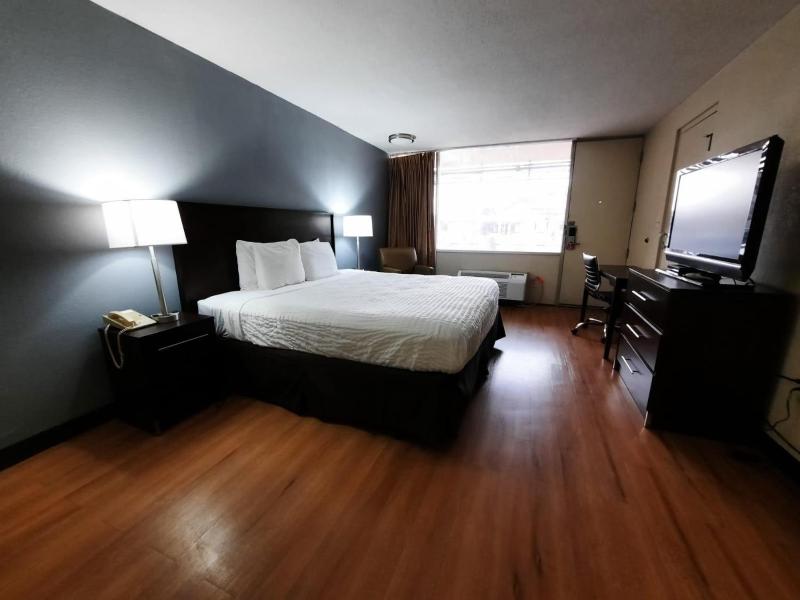 King Room image 3