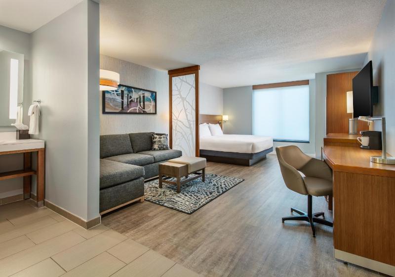 King Room with Sofa Bed and Roll-In Shower - Disability Access image 2