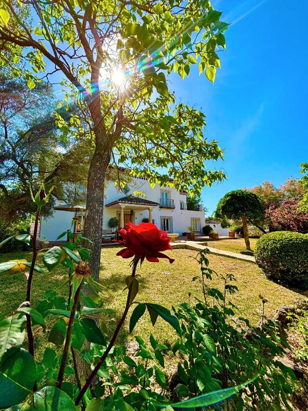 Finca Maridadi - image 4