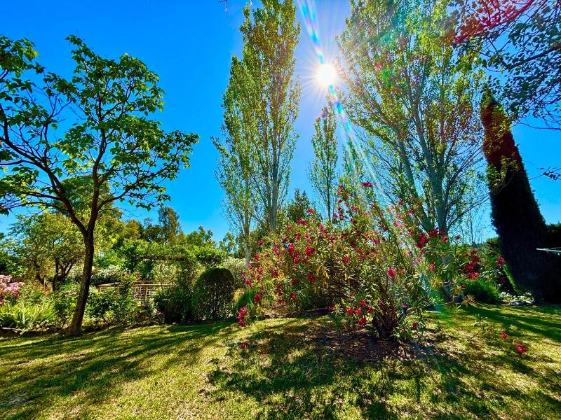 Finca Maridadi - image 36