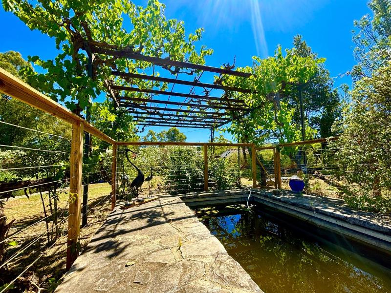 Finca Maridadi - image 23