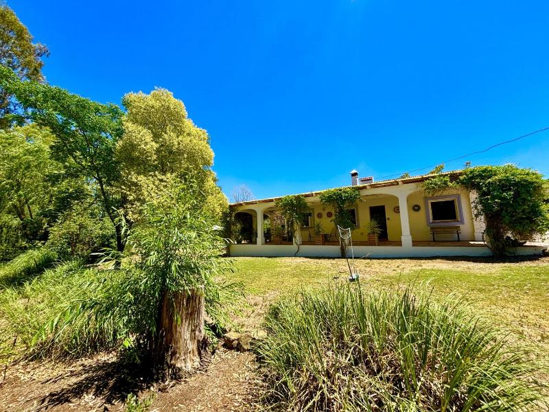 Los Olivos - image 26