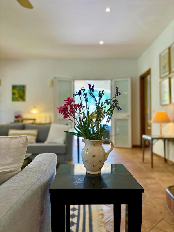 Los Olivos - image 6