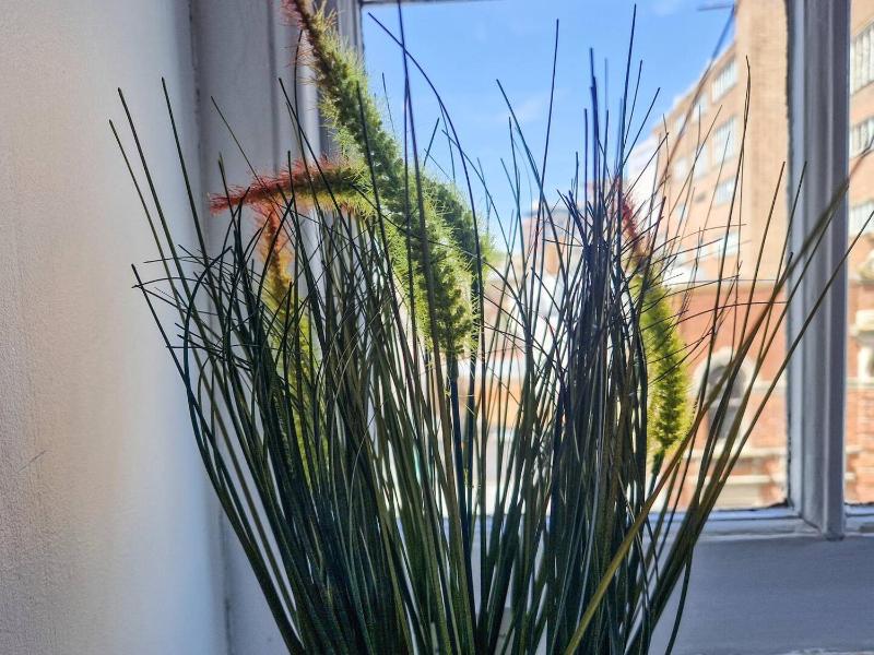 2 Bedroom Central Apartment in Bournemouth 5 minutes walk to the beach sleeps up to 6 - image 10
