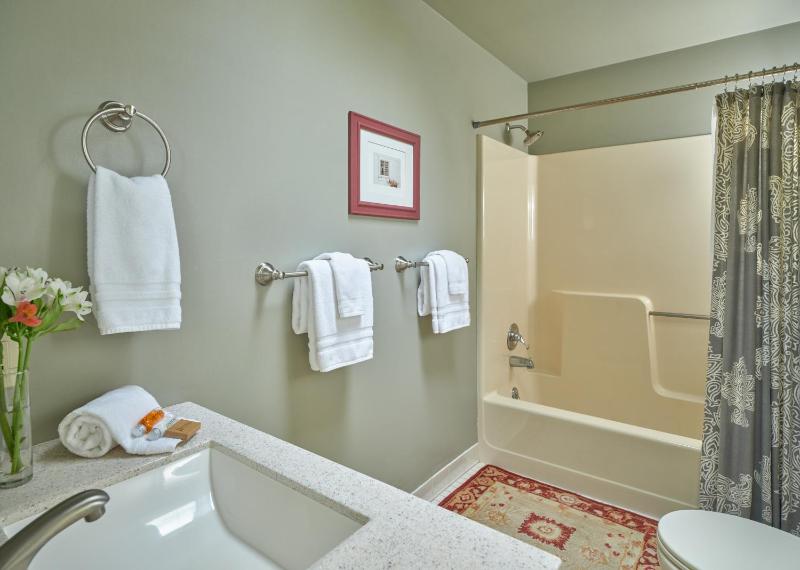 Deluxe Queen Room image 4