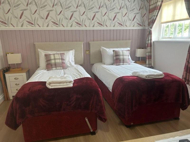 Twin Room - Disability Access image 1