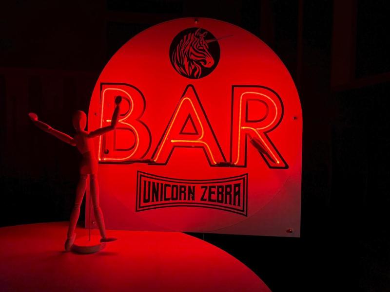 Unicorn Zebra - image 10