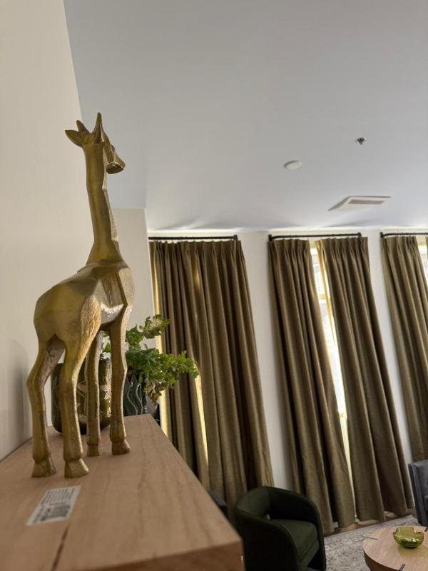 Unicorn Zebra - image 14