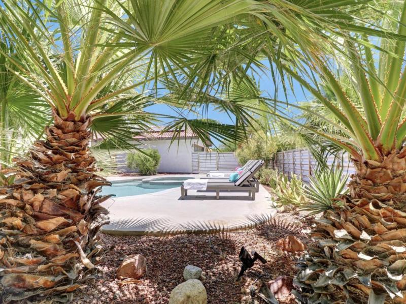 Dive into Desert Wonderland Pool Spa Fire Pit - image 10