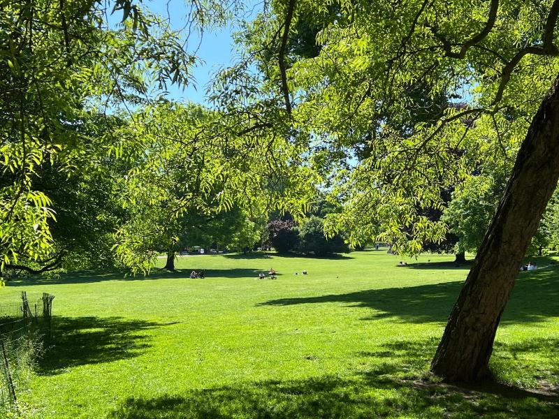 Penthouse Apartment image 4