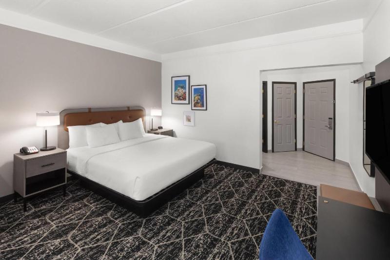 King Room image 1