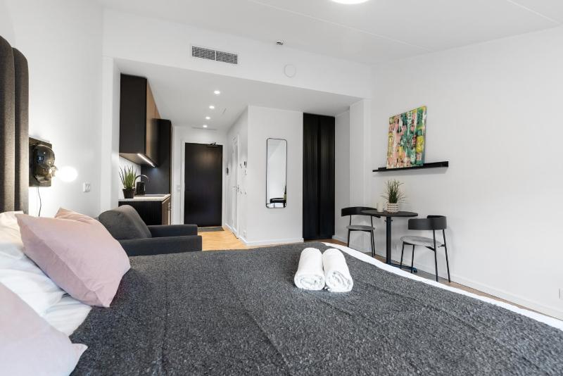 Stylish Volta Quarter Studios with AC - image 14