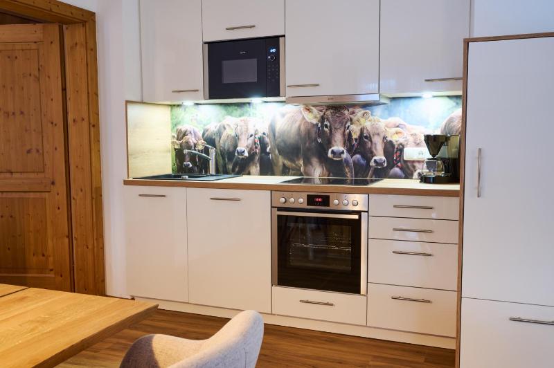 Deluxe One-Bedroom- Apartment with East Balcony or Terrace image 4
