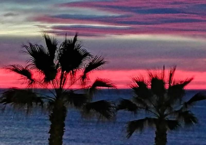 Sol y Sal: Los Locos Beach - image 14