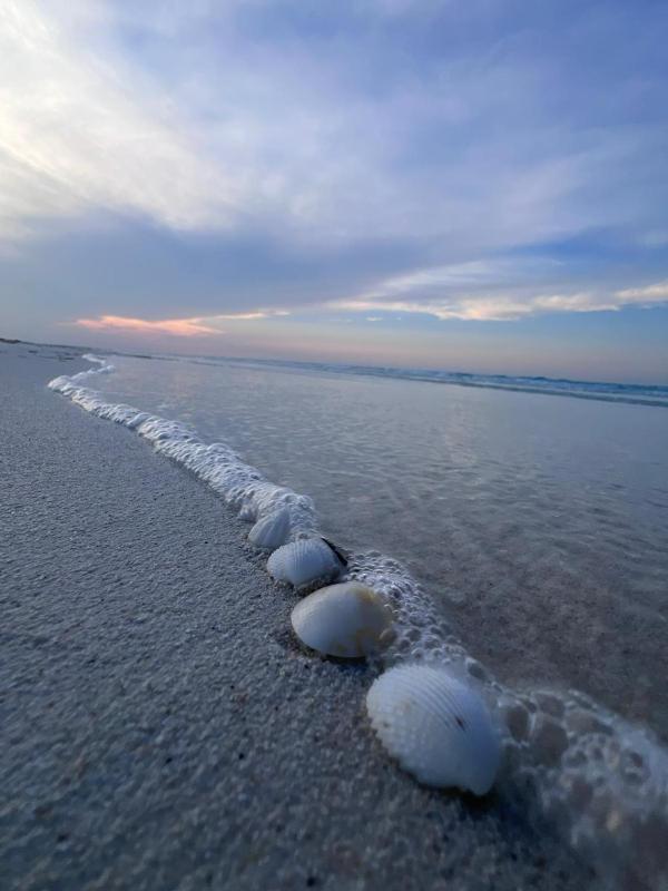07DK52-Where the Sea Kisses the Sky! - image 24