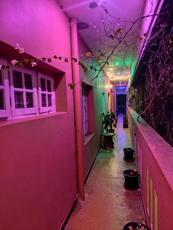 THE ONLY BEST HOMESTAYLA MAISON RENALD 2BHK4BHK available for 6713 members NEAR ROCK BEACH WHITE TOWN RAILWAY STN PONDY MARINA CAR PARKING available Eight 3 double zero seven six four 6 double 2 - image 36