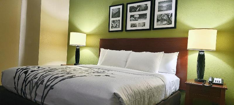 King Room - Non-Smoking image 2