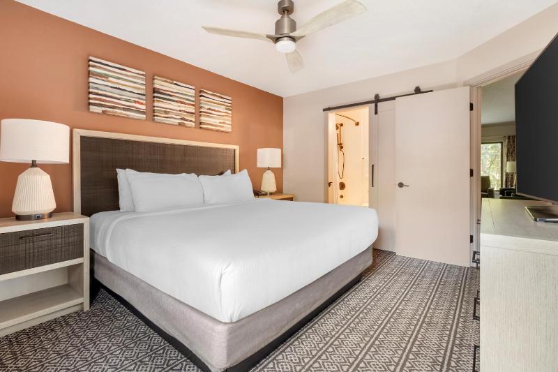 1 Bedroom Deluxe image 3