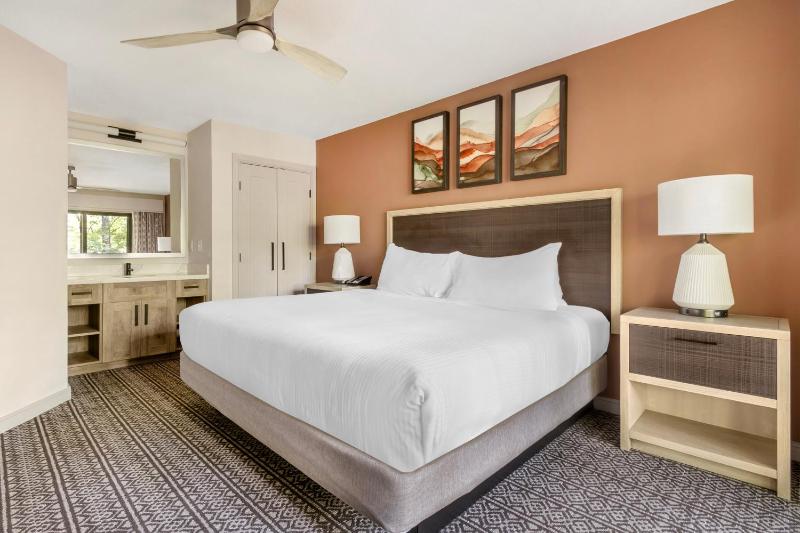 1 Bedroom Standard image 3