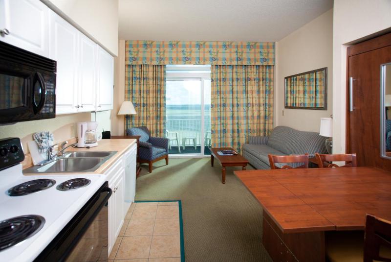 1 Bedroom 1 Bath Oceanfront Condo with 2 Queens, Sleeper Sofa and Wall Bed - T22 image 4