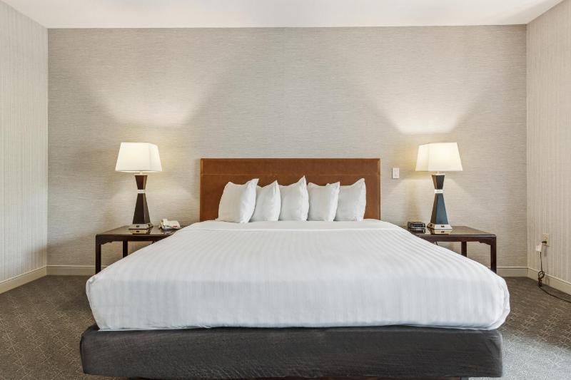 Deluxe King Room image 2