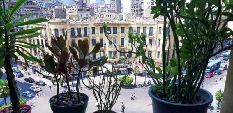 Grand Talat Harb Plaza Hotel - image 16