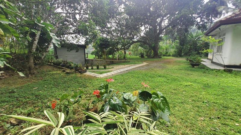Peace Villa - Homestay - image 6