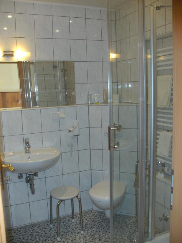 Standard Single Room image 3