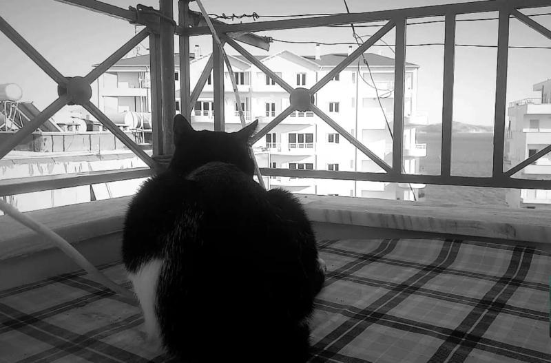 Nana's apartment - image 6