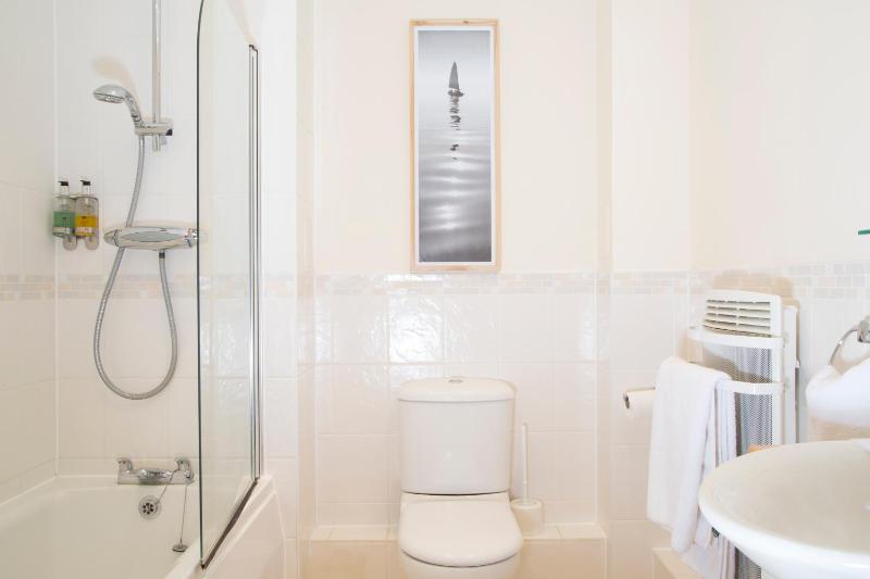 One-Bedroom Apartment image 4
