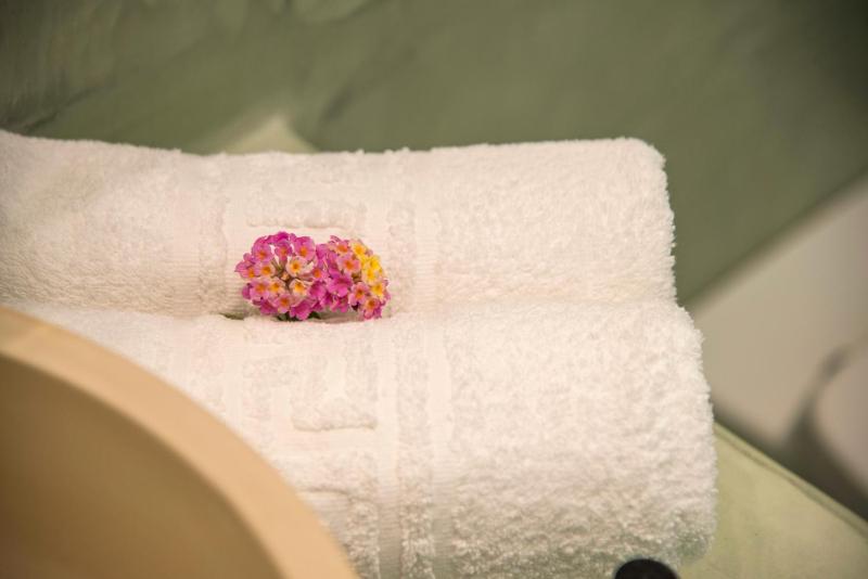 One-Bedroom Apartment with Pool View image 4