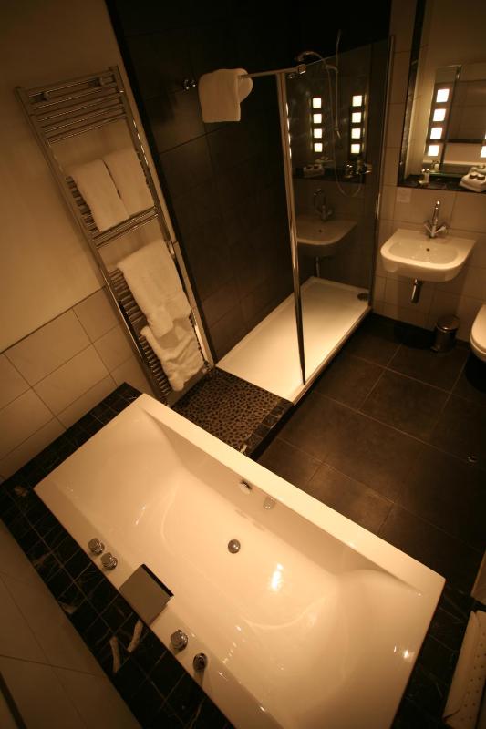 Deluxe Double or Twin Room image 4