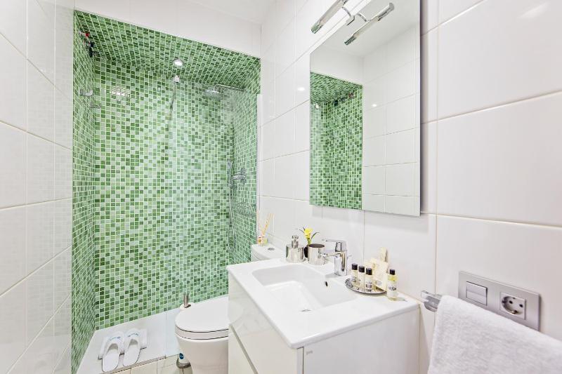 Two-Bedroom Apartment image 4