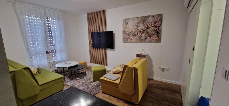 One-Bedroom Apartment image 2