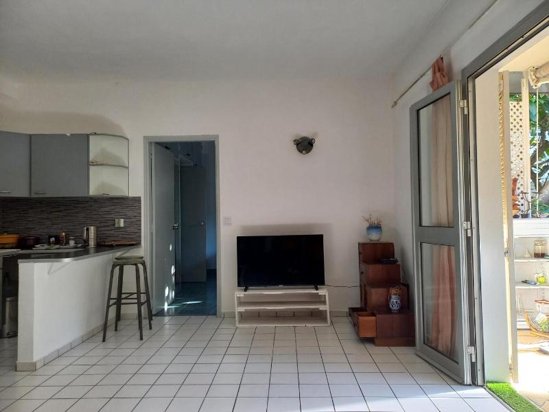 Garden & Terrace Apartment - image 8