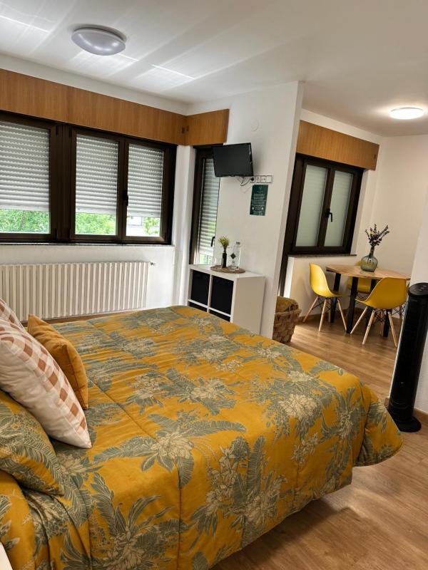 Deluxe King Studio image 1