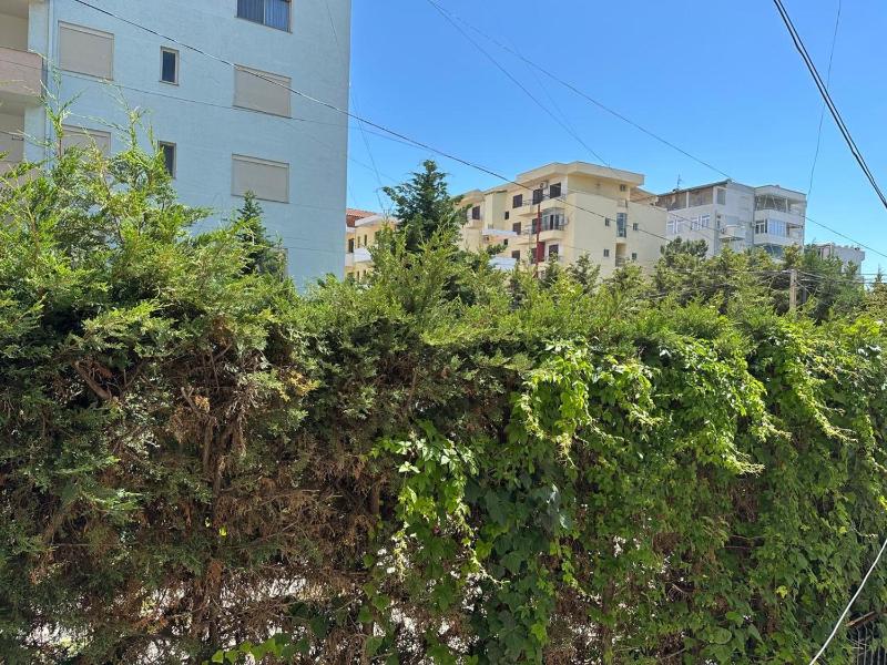 Grand apartment - image 15